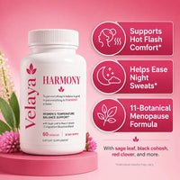 Velaya Harmony