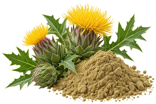 Blessed Thistle Herb Powder